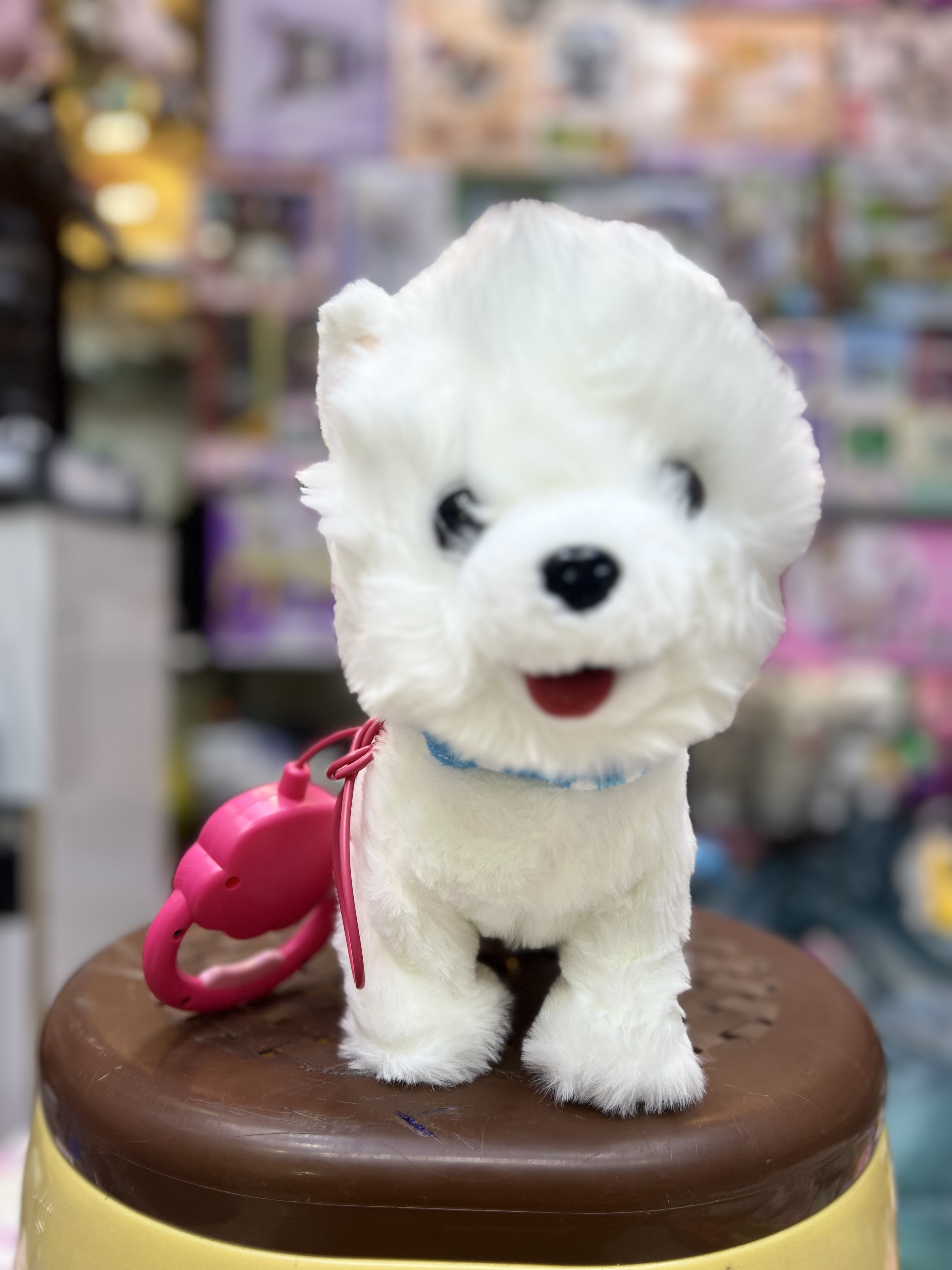 خرید سگ وگربه قلا ده ای باطری خور سایز کوچک کیفیت بالا | فروشگاه اسباببازی قشم