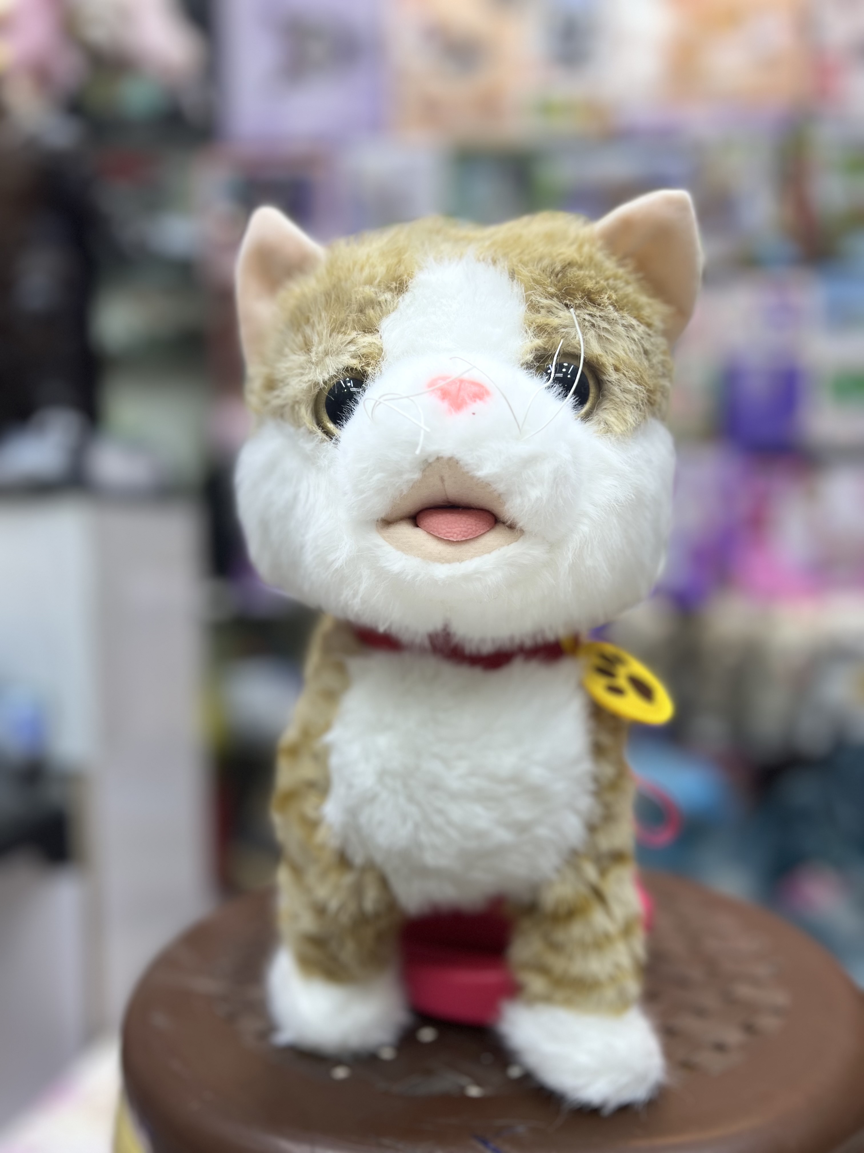 خرید سگ وگربه قلا ده ای باطری خور سایز کوچک کیفیت بالا | فروشگاه اسباببازی قشم