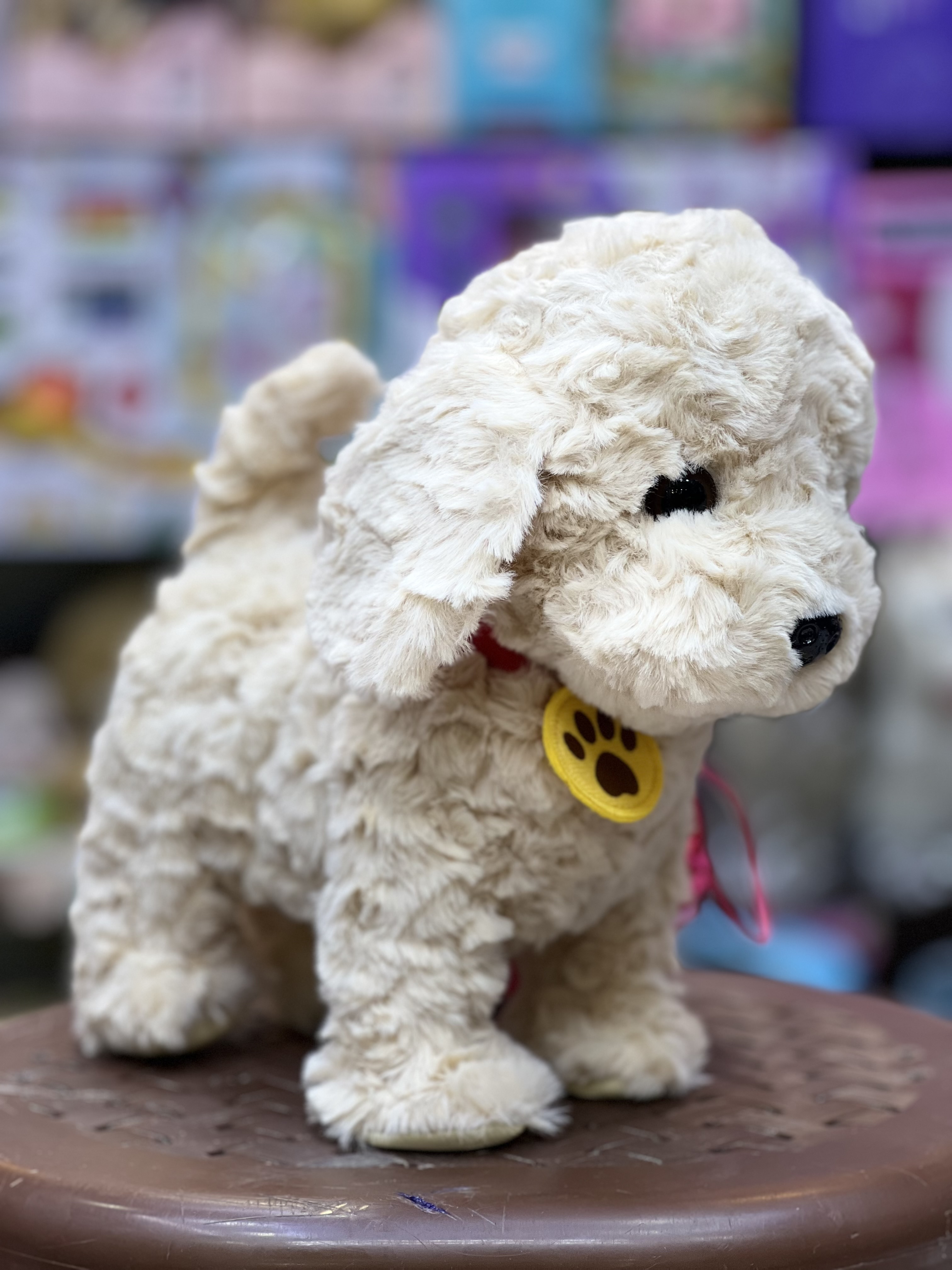 خرید سگ وگربه قلا ده ای باطری خور سایز کوچک کیفیت بالا | فروشگاه اسباببازی قشم