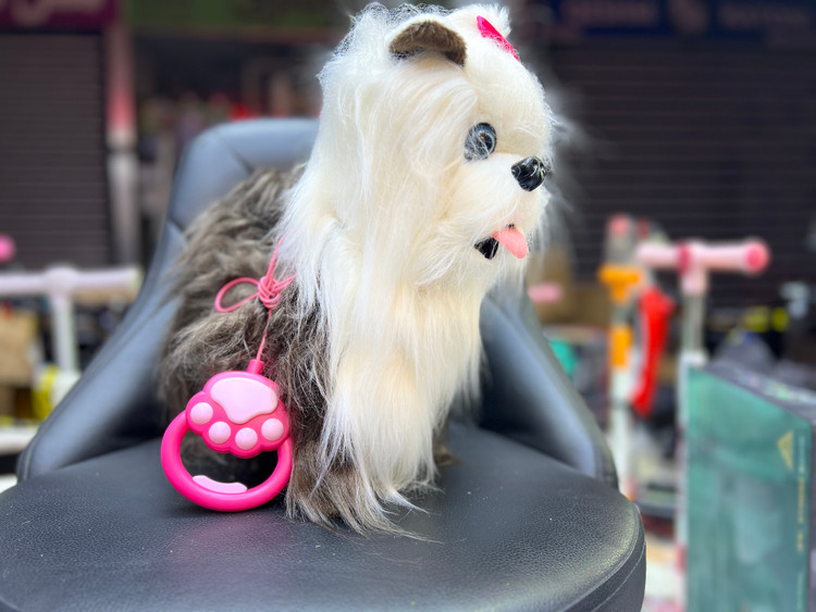 سگ پشمالو قلاده ای سایز بزرگ اورجینال