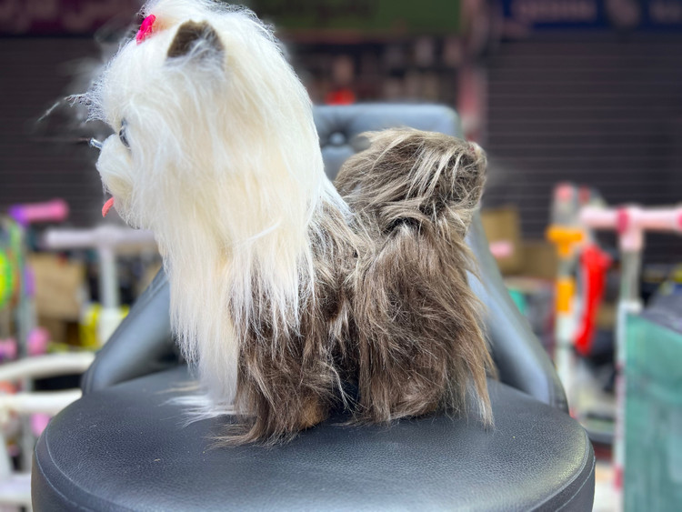 سگ پشمالو قلاده ای سایز بزرگ اورجینال